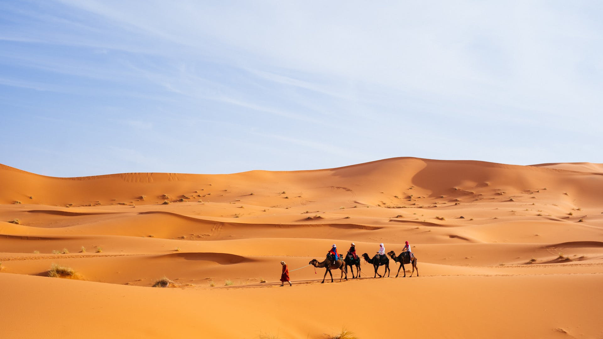 Image of a camel caravan trekking through the golden sands of the Merzouga Desert, with majestic sand dunes stretching in the background under a clear blue sky